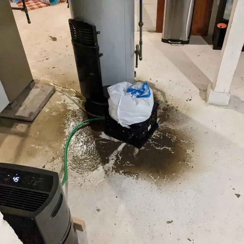 Sewage Backup Cleanup Service in Adams County, MS